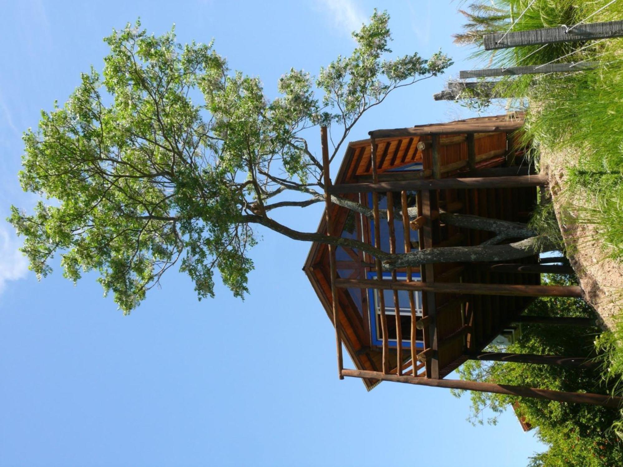 סן פדרו Cabanas De La Ribera מראה חיצוני תמונה
