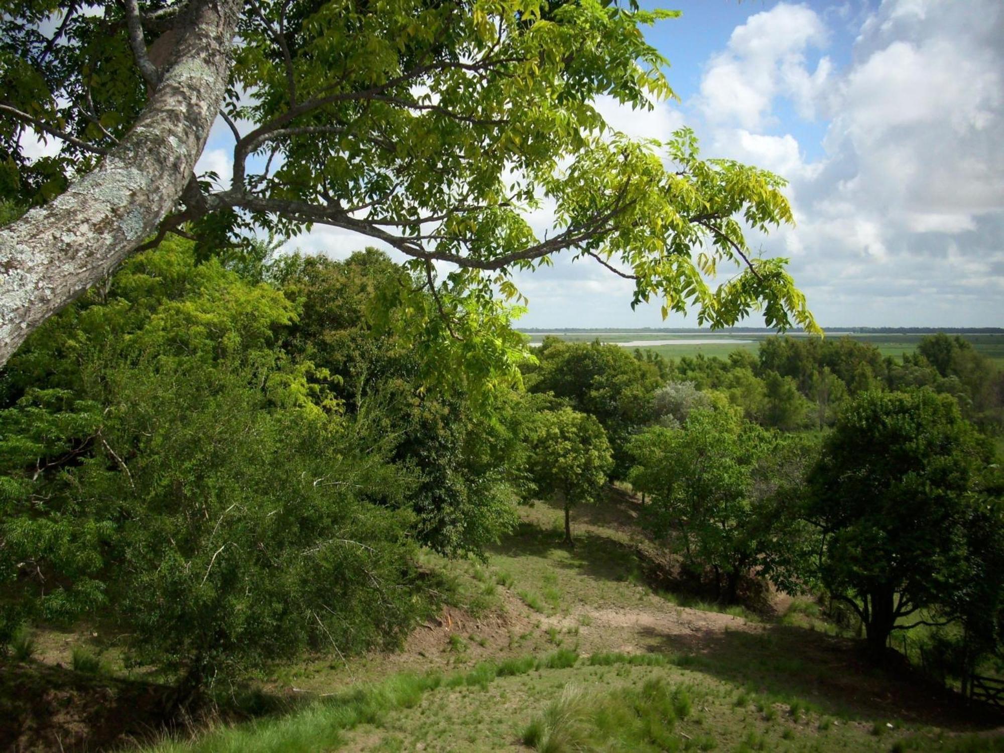 סן פדרו Cabanas De La Ribera מראה חיצוני תמונה