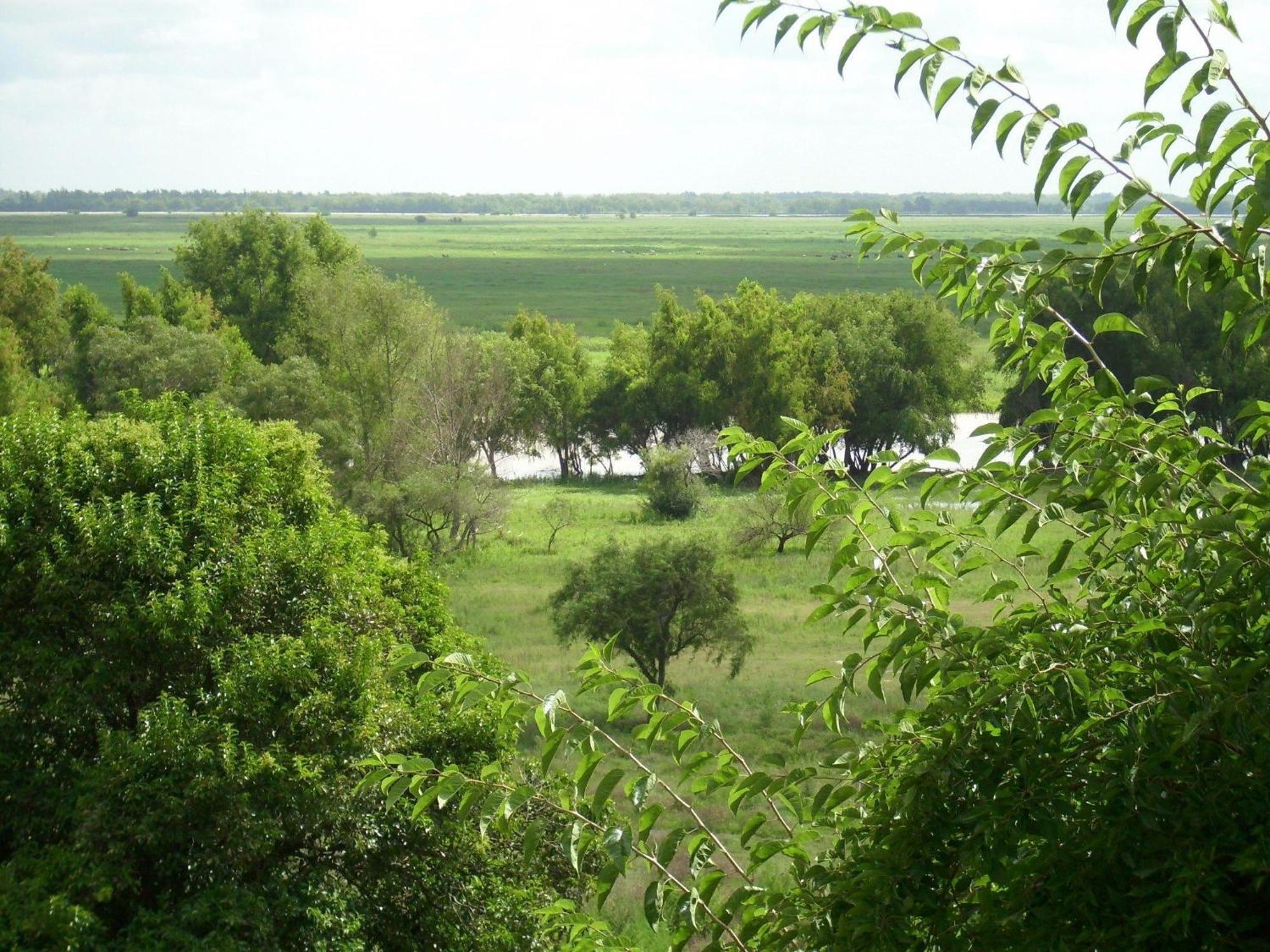סן פדרו Cabanas De La Ribera מראה חיצוני תמונה